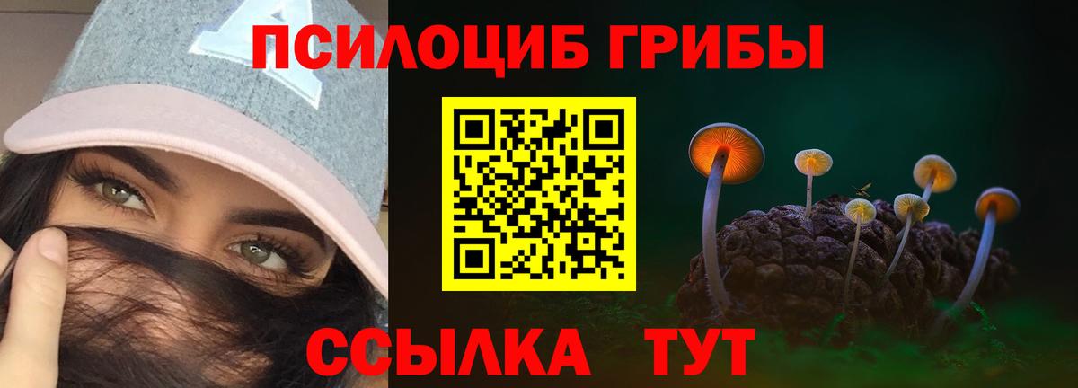 Псилоцибиновые грибы прущие грибы  Вход с VPN  Строитель 